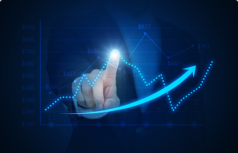 完善制度，规范流程，严格履行信息披露义务