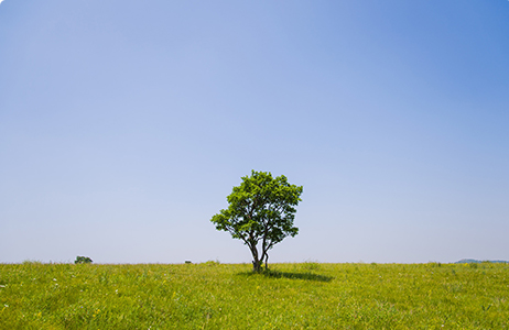完善制度，规范流程，严格履行信息披露义务