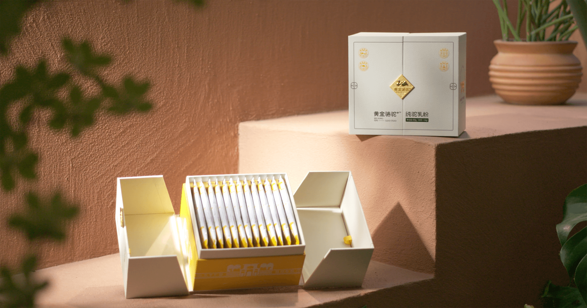 定位小众高端乳粉，jinnianhui今年会推出驼奶品牌“黄金骆驼+”，角逐乳品新市场！